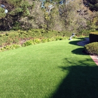 Artificial Grass Carpet Danville, California Rooftop, Front Yard