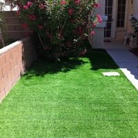 Artificial Grass Carpet Oakdale, California Landscaping, Front Yard