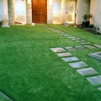 Artificial Grass Carpet Turlock, California Design Ideas, Front Yard Landscaping Ideas