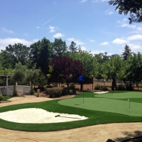 Artificial Grass Stockton, California Backyard Playground, Front Yard Ideas