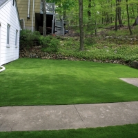 Artificial Turf Albany, California Landscape Ideas, Front Yard Landscaping Ideas