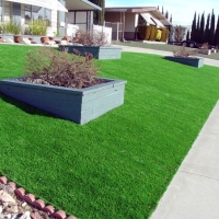 Artificial Turf Bayview, California Roof Top, Small Front Yard Landscaping