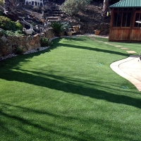 Artificial Turf San Pablo, California Backyard Playground, Backyards