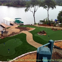 Best Artificial Grass Freeport, California Gardeners, Backyard