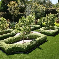 Fake Grass Carpet Inverness, California Backyard Deck Ideas