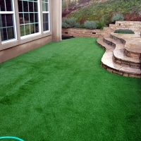 Fake Grass Carpet Richmond, California Landscape Photos, Backyards