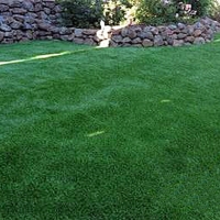 Fake Grass Carpet Sebastopol, California Pet Paradise, Backyard Designs