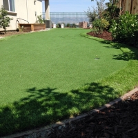 Fake Grass Lake Wildwood, California Gardeners, Backyard Landscaping Ideas