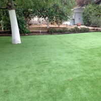 Fake Grass Long Barn, California Design Ideas, Beautiful Backyards