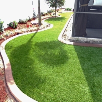 Fake Grass Richvale, California Lawn And Garden, Backyard Makeover