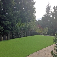 Fake Grass Truckee, California Garden Ideas, Backyard Makeover