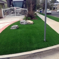 Fake Lawn Emeryville, California City Landscape, Front Yard Landscape Ideas