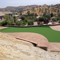 Fake Lawn Rutherford, California City Landscape, Backyard