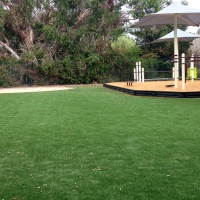 Fake Lawn San Geronimo, California Playground Turf