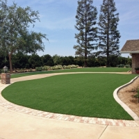 Fake Lawn Stinson Beach, California Landscape Ideas, Front Yard