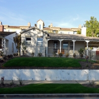 Faux Grass Berry Creek, California Garden Ideas, Front Yard Ideas