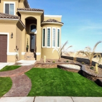 Faux Grass Elmira, California City Landscape, Front Yard Design