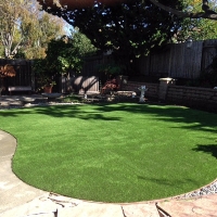 Faux Grass Salida, California Landscape Rock, Backyard Landscaping Ideas