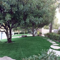 Grass Carpet Arnold, California Garden Ideas, Front Yard Landscaping Ideas