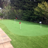 Grass Carpet Carmet, California Putting Greens, Backyard Design