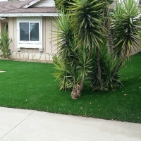 Grass Carpet Cloverdale, California Landscape Ideas, Front Yard Landscaping Ideas