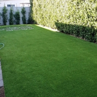 Grass Carpet Cold Springs, California Paver Patio, Backyard