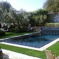 Grass Carpet Colma, California Gardeners, Above Ground Swimming Pool