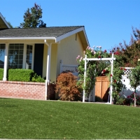 Grass Carpet Dillon Beach, California Landscape Photos, Front Yard Ideas