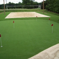 Grass Carpet Discovery Bay, California Lawn And Garden, Backyard