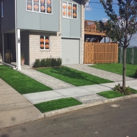 Grass Carpet Ione, California Backyard Playground, Front Yard Ideas