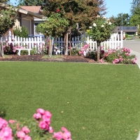 Grass Carpet West Menlo Park, California Garden Ideas, Landscaping Ideas For Front Yard