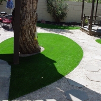 Grass Installation Rollingwood, California Lawns, Small Backyard Ideas