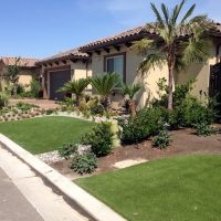 Grass Turf Delhi, California Lawns, Front Yard Design