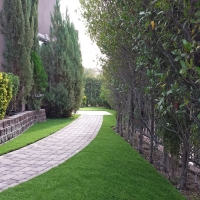 Grass Turf Petaluma, California Landscape Design, Front Yard Landscape Ideas