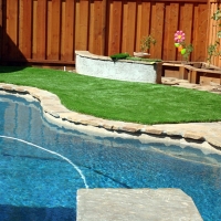 Green Lawn Loomis, California Garden Ideas, Backyard Landscaping