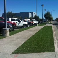 How To Install Artificial Grass Wheatland, California Garden Ideas, Commercial Landscape