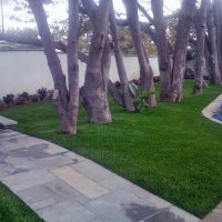 Lawn Services South San Francisco, California Paver Patio, Front Yard Landscaping