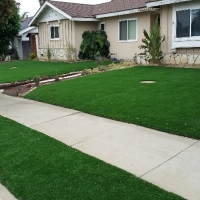 Outdoor Carpet San Bruno, California Backyard Playground, Front Yard Landscape Ideas