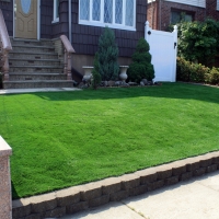 Plastic Grass Black Point-Green Point, California Backyard Deck Ideas, Front Yard Landscape Ideas