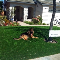 Plastic Grass Clay, California Backyard Playground, Grass for Dogs