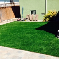 Synthetic Grass Cost San Francisco, California Dog Running, Backyards