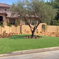 Synthetic Grass Loma Rica, California Landscape Ideas, Front Yard Landscape Ideas