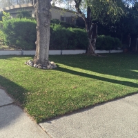 Synthetic Lawn Fort Jones, California Design Ideas, Front Yard Ideas