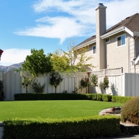 Synthetic Lawn Pacifica, California Landscape Design, Front Yard Design