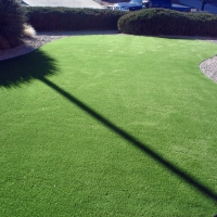 Synthetic Turf Montalvin, California Landscape Ideas, Front Yard Landscape Ideas