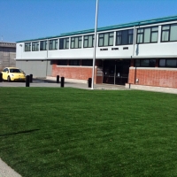 Synthetic Turf Supplier Isleton, California Roof Top, Commercial Landscape