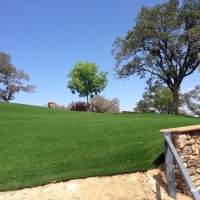 Synthetic Turf Supplier Pacheco, California Backyard Deck Ideas, Front Yard Landscape Ideas