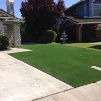 Turf Grass Angwin, California Rooftop, Front Yard Ideas