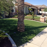 Turf Grass August, California Rooftop, Front Yard Landscape Ideas