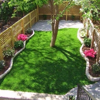 Turf Grass Broadmoor, California Roof Top, Small Backyard Ideas